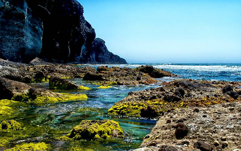 Looking for paradise. - Cabo de Gata. _ Alguno de los bellos… _ foto Miguel Ángel Sánchez-Guerrero