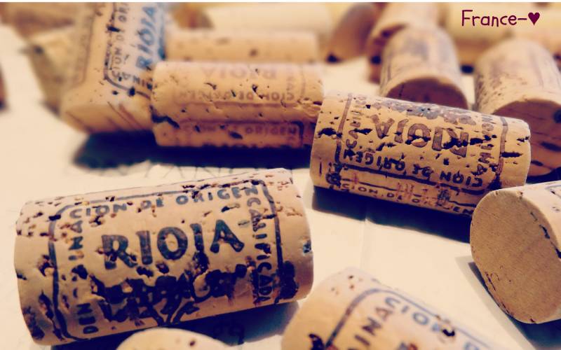 Rioja Winery (Logroño) _ Il faut boire les vins ou les biere… _ Flickr_files Foto France
